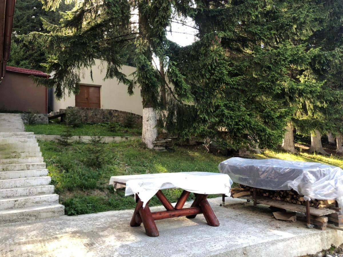 Genco Hotel Mountain View Predeal Exterior photo