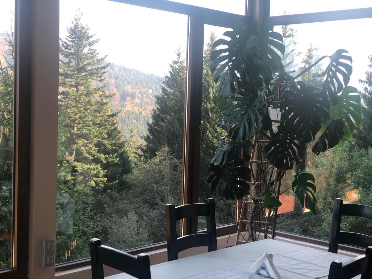 Genco Hotel Mountain View Predeal Exterior photo
